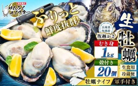 坂越かき むき身 約500g×2パック、 殻付き 20個(牡蠣ナイフ・軍手付き) 牡蠣 カキ 海鮮 貝[2027年1月以降発送予定]