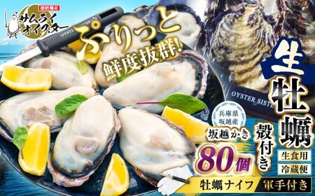 坂越かき 殻付き 80個(牡蠣ナイフ・軍手付き) 牡蠣 カキ 海鮮 貝[2027年1月以降発送予定]