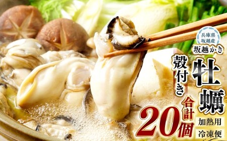 【冷凍】坂越かき 殻付き20個（加熱用） 牡蠣 カキ 海鮮 貝
