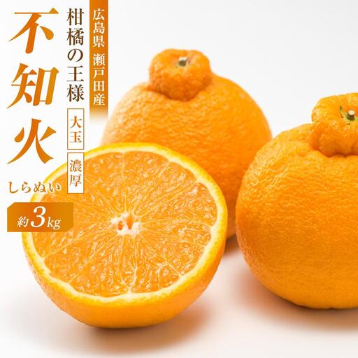 [先行予約]柑橘の王様 大玉・濃厚な不知火(しらぬい)3kg [2027年3月中旬より発送開始]