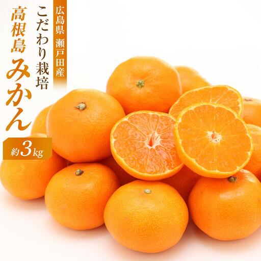 [先行予約]こだわり栽培 高根島みかん 3kg [2026年11月下旬より発送開始]