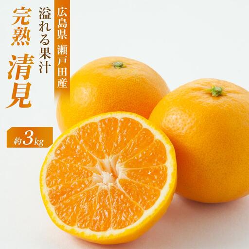 【先行予約】めっちゃジューシー 完熟清見 3kg＜2027年3月下旬より発送開始＞