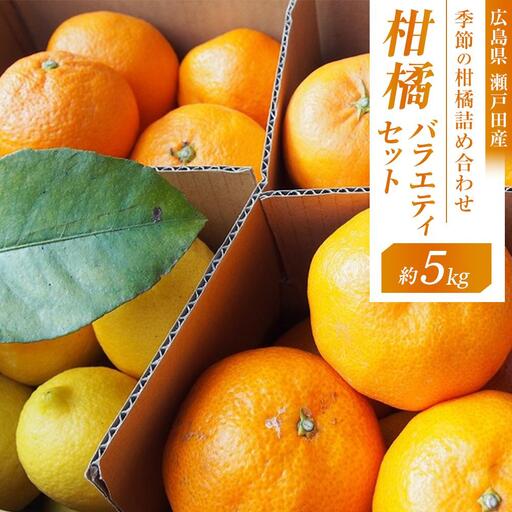[先行予約]柑橘バラエティセット 5kg [2027年1月下旬より発送開始]