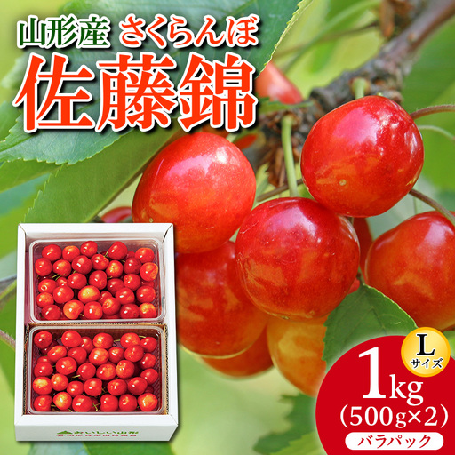さくらんぼ 佐藤錦 Ｌ1kg(500g×2) バラパック 【令和9年産先行予約】FS26-654