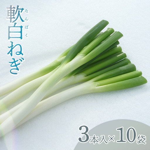 軟白ネギ 1箱(3本入り×10袋) 【令和8年12月より発送】 山形県鶴岡市産 鶴岡協同ファーム