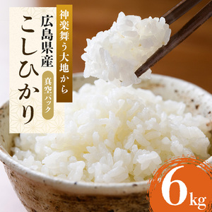 米 コシヒカリ 令和5年 真空パック 6kg 広島県安芸高田市産 3kg×2袋 白米 こしひかり お米 こめ コメ おこめ 