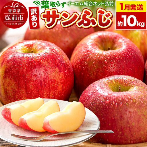[27年1月発送]りんご 葉取らず サンふじ[訳あり]約10kg 糖度13度以上 EMりんご 林檎 リンゴ 果物 くだもの フルーツ 青森県 弘前市 不揃い 規格外