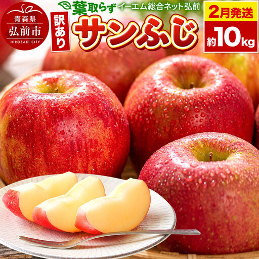 【27年2月発送】りんご 葉取らず サンふじ【訳あり】約10kg 糖度13度以上 EMりんご 林檎 リンゴ 果物 くだもの フルーツ 青森県 弘前市 不揃い 規格外