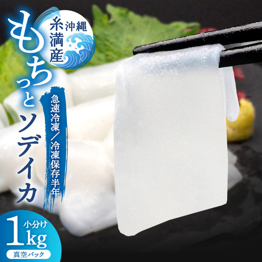 ソデイカ 約1kg いか  セーイカ