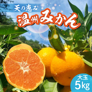 【2026年先行予約】天の恵み 温州みかん 大玉5kg【ミカン 蜜柑 柑橘 温州みかん 和歌山】_H6004n