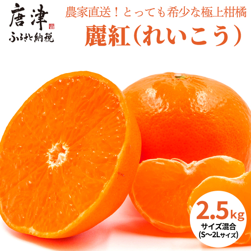 『予約受付』[令和9年1月下旬発送]麗紅(れいこう) ハウス栽培 唐津産 2.5kg