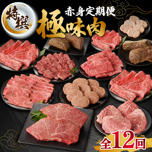 【特撰】佐賀牛 赤身 定期便（12回）／ 牛肉 定期便 【Z045】