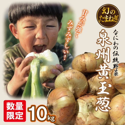 【先行予約】 数量限定 幻のたまねぎ 泉州黄玉ねぎ 10kg