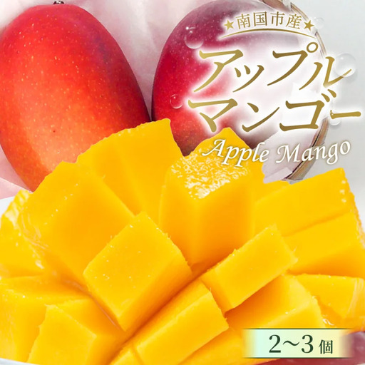 【先行予約 2027年発送】完熟マンゴー 2個～3個 0.8g～1kg | アップルマンゴー