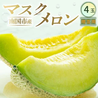【先行予約】マスクメロン（贈答用） 4玉入 青肉品種 高級メロン！ ／ マスクメロン 果物 フルーツ ギフト 農家直送 NE028