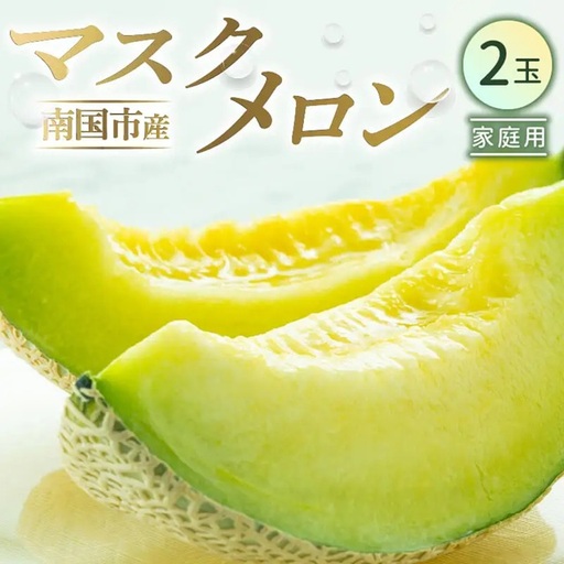 【先行予約】マスクメロン（家庭用） 2玉入 青肉品種 高級メロン！ ／ マスクメロン 果物 フルーツ ギフト 農家直送 NE001
