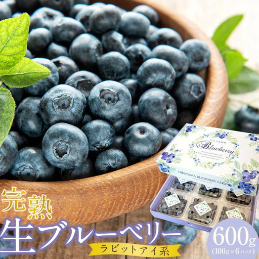 [先行予約]完熟生ブルーベリー ラビットアイ系 600g (2026年7月〜発送) | フルーツ 果物 ベリー