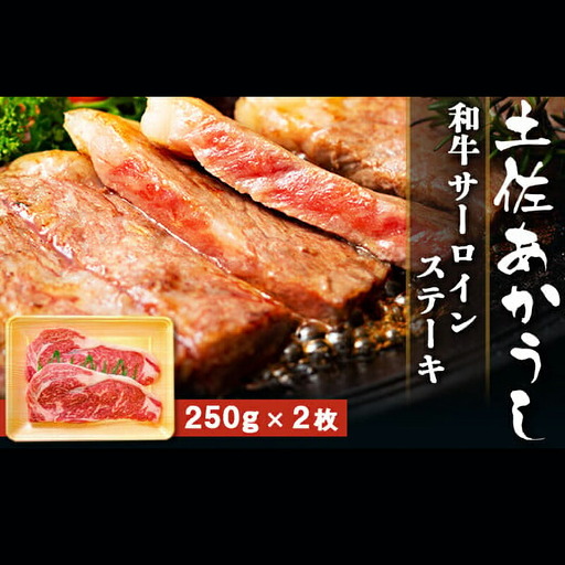 土佐あかうし 和牛サーロイン／ステーキ 500g（250g×2枚） | あか牛 赤身 旨味 希少 幻 贈り物 ギフト 高知県 南国市