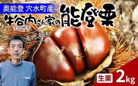 【先行予約】牛谷内農園 の 能登栗 | 栗