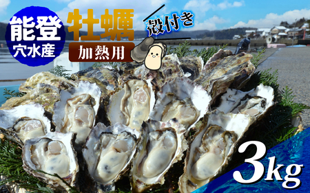 鮮度抜群!獲れたてをお届け! 能登穴水の牡蠣(殻付き)加熱用3kg | 奥能登 能登半島 牡蠣