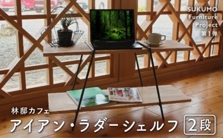 木製棚板 アイアン・ラダーシェルフ（ハシゴ棚・二段） シェルフ