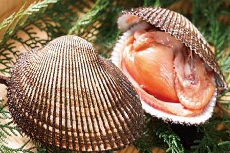 ☆冬季限定☆＜周防大島産＞天然！殻付き赤貝３ｋｇ【先行受付開始！2027年1月23日以降のお届け】