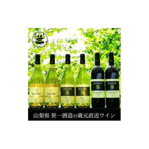 【蔵元直送】笹一酒造・OLIFANT(オリファン)ワイン 750ml×6本セット