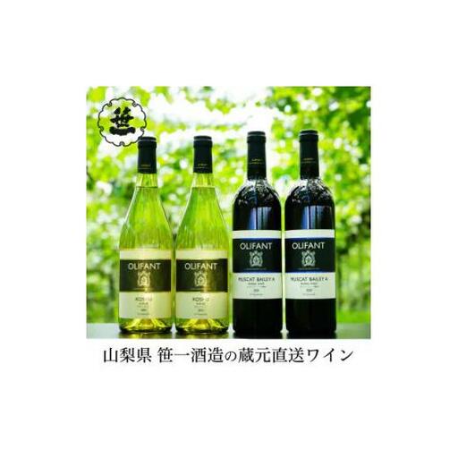 【蔵元直送】笹一酒造のOLIFANT(オリファン)ワイン赤白4本セット