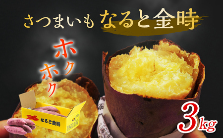 【予約受付中・2026年9月下旬頃より順次発送】さつまいも なると金時 3kg 