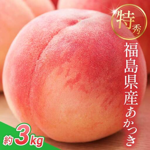 2027年出荷分先行予約 糖度12度以上 特秀 福島県産 桃 あかつき 約3kg 透過式光センサー選別 数量限定 期間限定 白桃 もも モモ 果物 くだもの フルーツ F20C-278
