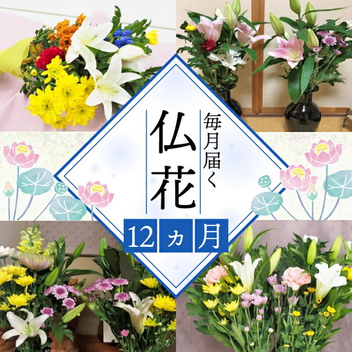 定期便  12回 仏花 お花  生花 組花 2束  |    