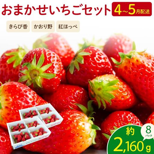 2027年4月より順次発送予定 いちご 2kg 以上 おまかせ いちご
