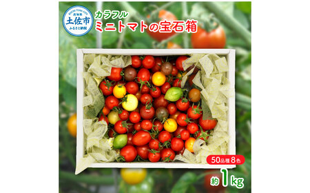[先行予約]カラフルミニトマトの宝石箱(約1kg) [2026年12月下旬から順次発送]高知県産 高知県 土佐市[ファーム輝] [BQBM006]