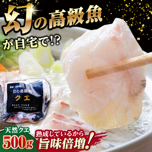 【2026年10月より順次発送】対馬産 幻の高級魚 クエ 500g 冷凍配送 くえ アラ 切身 [WAA004] 