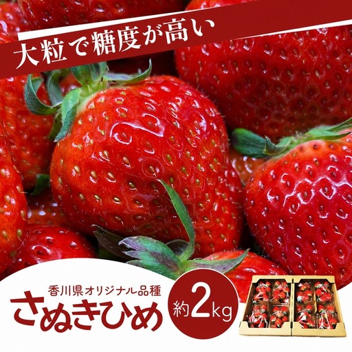 いちご さぬきひめ 香川県産 大粒 いちご【2kg 冷蔵】 【46312083】