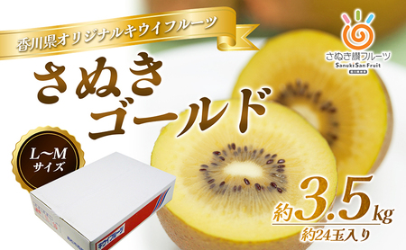 さぬき ゴールドキウイ L〜4Lサイズ16玉〜 24玉 3.5kg ゴールデンキウイ キウイフルーツ キウイ フルーツ 果物 くだもの 果実 旬の果物 旬のフルーツ 香川 香川県 東かがわ市