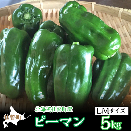＜2026年7月下旬よりお届け＞北海道壮瞥町産 ピーマン 約5kg SBTL014