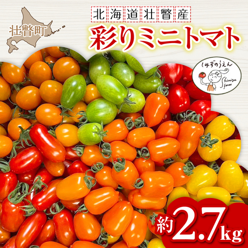[2026年7月上旬よりお届け]カラフルミニトマト約2.7kg [農園直送]北海道壮瞥産