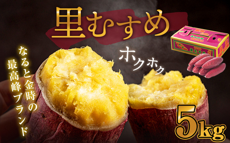 【予約受付中・2026年9月下旬頃より順次発送】さつまいも なると金時（里むすめ）5kg 鳴門金時 箱入り さつまいも