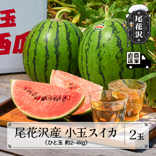 尾花沢産 小玉スイカ 2玉 令和8年産 すいか kb-sukxx2-7b
