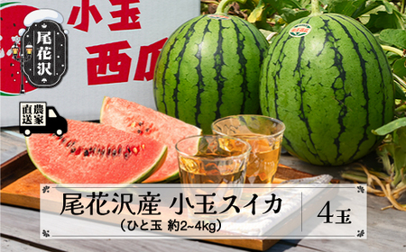 尾花沢産 小玉スイカ すいか 4玉 令和8年産 kb-sukxx4-7b
