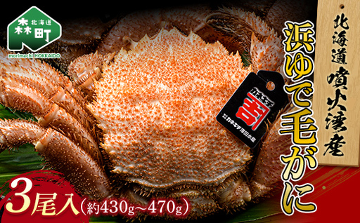 北海道噴火湾産「カネキチ」 浜ゆで毛ガニ 3尾 約430～470g＜カネキチ澤田水産＞ かに カニ 蟹 ガニ がに 森町 ふるさと納税 北海道 毛蟹 毛かに 毛ガニ 毛カニ mr1-1479