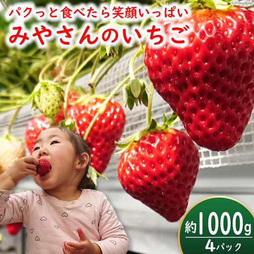 [期間限定発送]みやさん自慢のおすすめチョイス! 完熟 いちご (250g×4パック) 約1000g