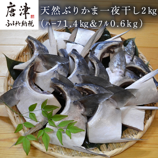 天然ぶりかま一夜干し ハーフ2食×7袋 計1.4kg・フル1食×3袋 計600g(合計2kg)