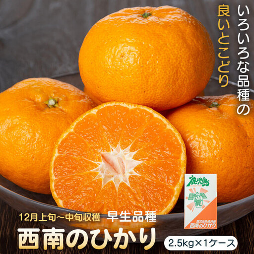 ＜先行予約＞ 西南のひかり(2.5kg×1ケース) 鹿児島 国産 みかん 柑橘 フルーツ【JA鹿児島きもつき高山支所】P18001