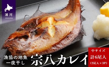 漁協の地魚一夜干し 宗八カレイ 中サイズ(6尾入)[02-865]
