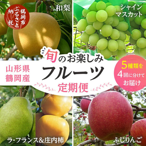 [定期便][令和8年産先行予約] 山形県鶴岡産 旬のお楽しみフルーツセット(果物) [和梨・シャインマスカット・ラ・フランス・庄内柿・りんご ](計4回、5種) 産直あぐり