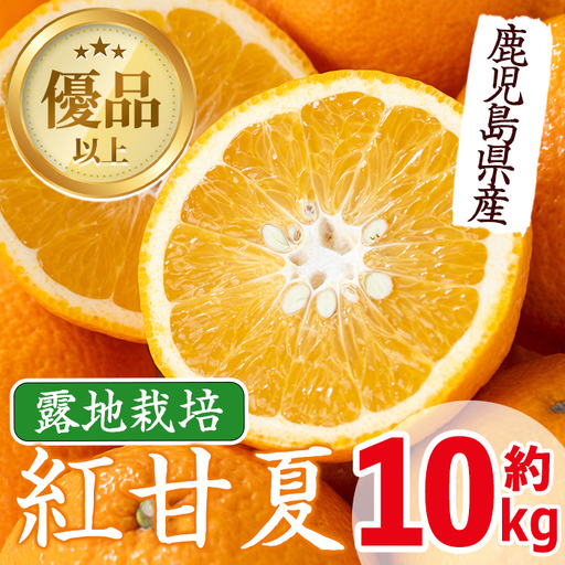 i047 ≪先行予約受付中!2027年2月中旬〜5月中旬の間に発送≫紅甘夏(約10kg) みかん ミカン 蜜柑 果物 くだもの フルーツ 柑橘 10kg 国産 おやつ 旬 [JA鹿児島いずみ(果実課)]