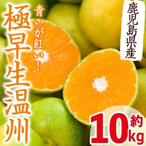  《先行予約》極早生 温州みかん 10kg 鹿児島県産 2026年9月以降順次発送予定 【JA鹿児島いずみ(果実課)】i093
