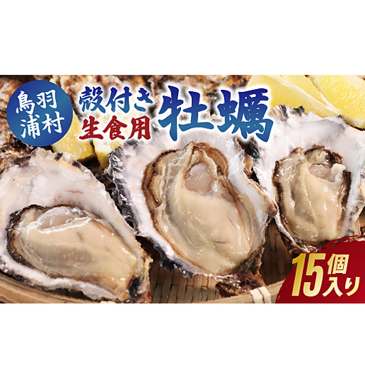 【先行予約／2026年12月より順次発送】I-55生食用浦村牡蠣１５個入りセット